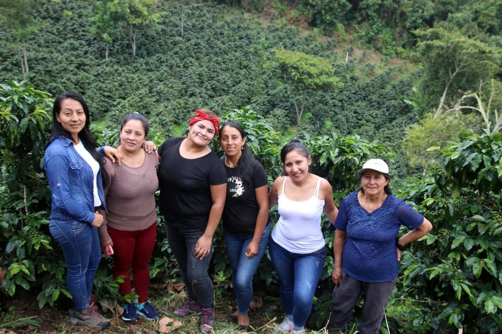 Coffee Mori - Perú - San Ignacio - Orgánico - Café de mujeres - Lavado