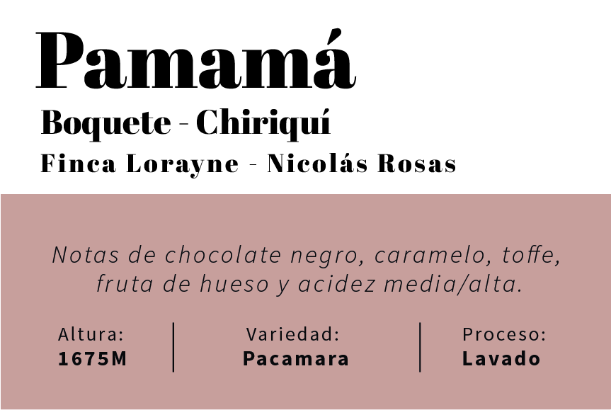 Panamá - Chiriquí - Finca Lorayne -  Lavado