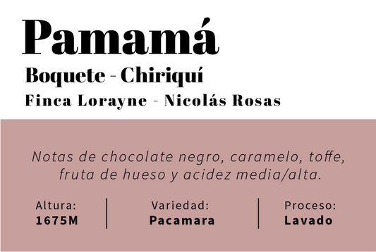 Panamá - Chiriquí - Finca Lorayne -  Lavado