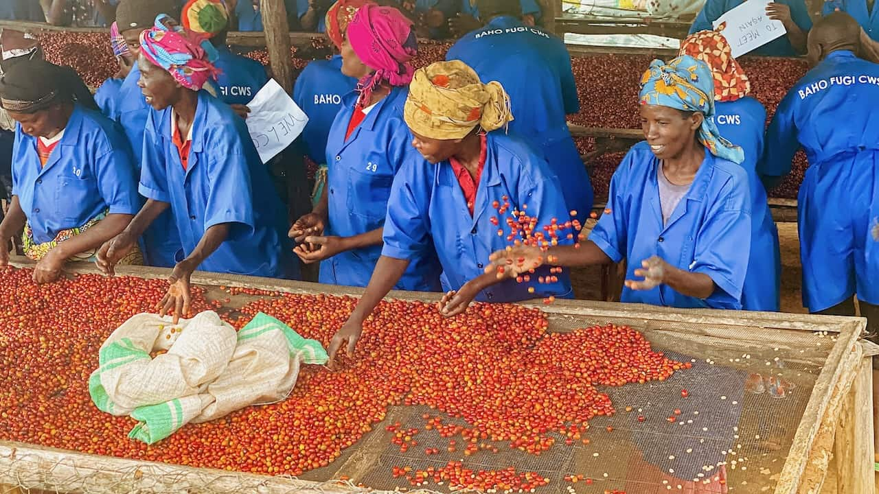 Coffee Mori - Ruanda - Nyaruguru - Lavado